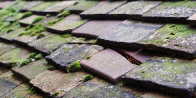 Crafton roof repair costs